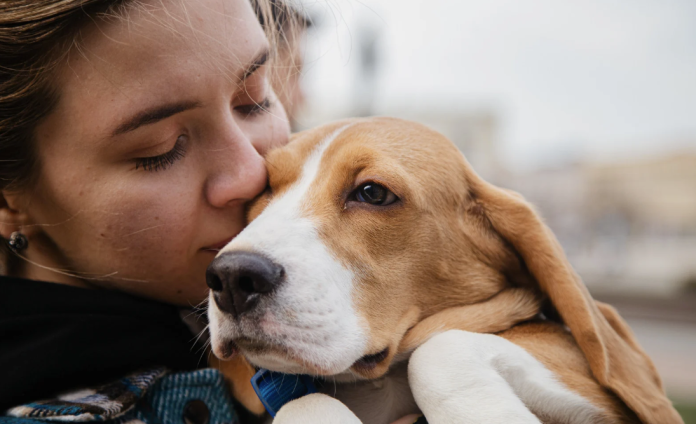 A Spiritual Guide as a Pet A Spiritual Guide as a Pet