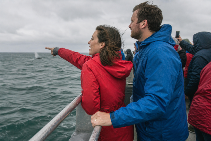 Couple on a whale-watching boat deck pointing at a distant spout Couple in rain jackets on a whale-watching boat deck in grey light, one pointing at a distant whale spout, spray on the rail, passengers with phones behind