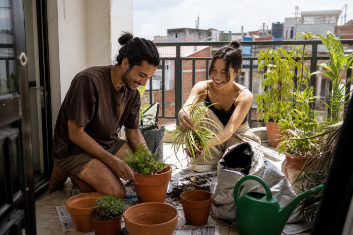 Spiritually cleanse your home with plants and air Two flatmates in their twenties repotting houseplants on a small apartment balcony with bags of compost and a watering can, city rooftops behind