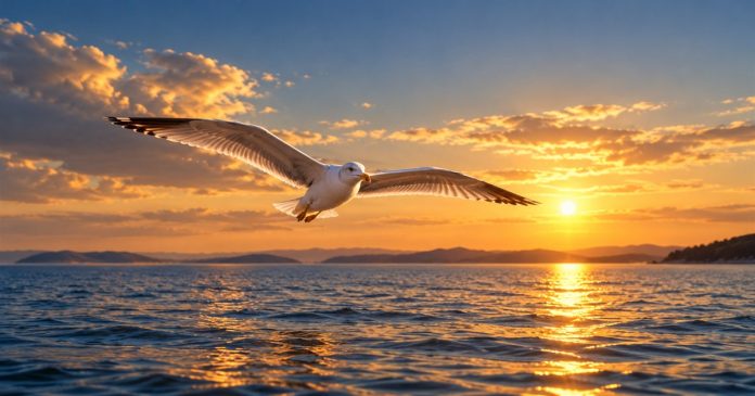 A bird encounter and personal meaning A gull glides above blue water in warm sunset light.