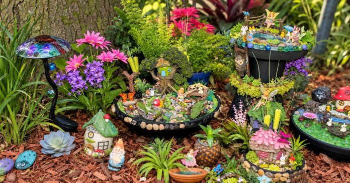 A miniature fairy garden Small fairy houses and garden ornaments sit among flowering plants, foliage and stones.